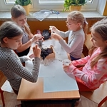 Czego potrzebują do życia rośliny 06.jpg