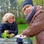 Survival w edukacji 11.jpg