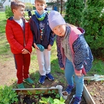 Czego rośliny potrzebują do życia 07.jpg