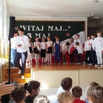 Obchody Święta Konstytucji 10.jpg