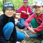Zajęcia terenowe klasy 1b Leśni tropiciele 04.jpg