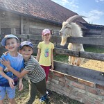 IMG_0054(1).jpeg