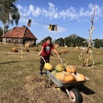 IMG_0075(1).jpeg