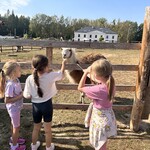 IMG_0045.jpeg