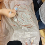 Biologia w praktyce – klasy 7a i 7b w akcji 06.jpg