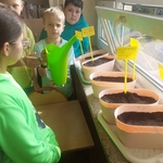 Projekt edukacyjny w klasie IIIc_ Nasz ogródek 01.jpg