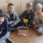 Projekt edukacyjny w klasie IIIc_ Nasz ogródek 03.jpg