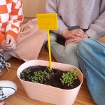 Projekt edukacyjny w klasie IIIc_ Nasz ogródek 02.jpg