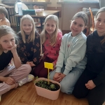 Projekt edukacyjny w klasie IIIc_ Nasz ogródek 05.jpg