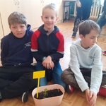 Projekt edukacyjny w klasie IIIc_ Nasz ogródek 08.jpg