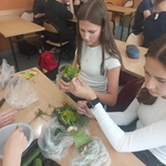 Chemia w praktyce – kiszenie ogórków 01.jpg