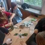 Chemia w praktyce – kiszenie ogórków 07.jpg