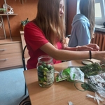 Chemia w praktyce – kiszenie ogórków 09.jpg