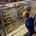 Lekcja historii w Muzeum Wojska Polskiego – klasa 3c w podróży przez czas - 10.jpg