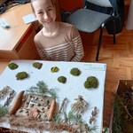 Szkoła z patyków i liści 02.jpg