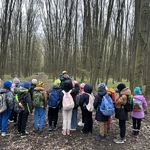 klasa 2c wzięła udział w wyjątkowych warsztatach terenowych Leśne bandy - 01.jpg