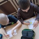Przyroda w maju - 14.jpg
