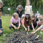 Ostatnie warsztaty z cyklu Leśne Bandy - 08.jpg