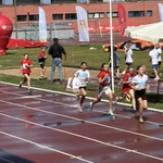 Brązowe medale podczas Wojewódzkich Nadziei Olimpijskich - 04.jpg