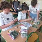 Chemia w praktyce_ czyli jak uczniowie przygotowywali roztwory o określonym stężeniu -06.jpg
