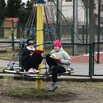 Obserwacja drzewa 05.jpg