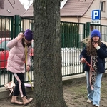 Obserwacja drzewa 06.jpg
