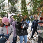 Dokarmianie ptaków 05.jpg