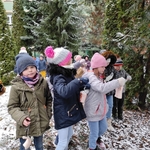 Dokarmianie ptaków 06.jpg