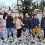 Dokarmianie ptaków 07.jpg