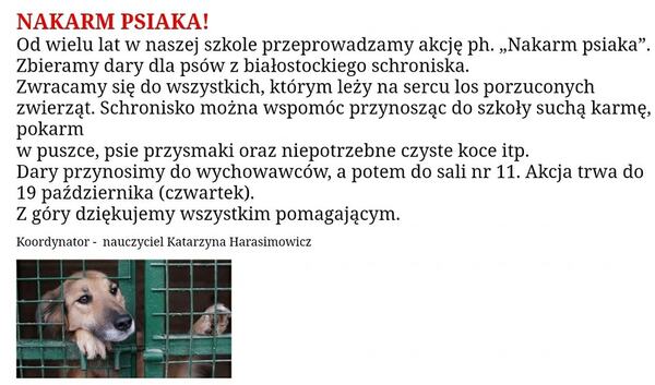 nakarm psiaka.jpg