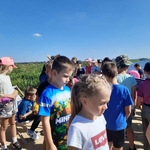 Góra nad Narwią 16.jpg