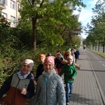 Ratujemy Kasztany 03.jpg