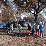 Ratujemy Kasztany 07.jpg