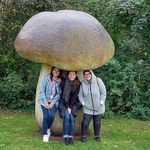 Jurajski Park Dinozaurów 20.jpg