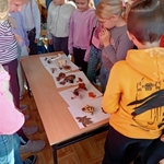 Na zakończenie sezonu grzybowego 05.jpg