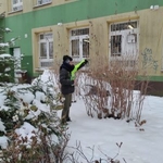 Akcja dokarmiania ptaków 05.jpg