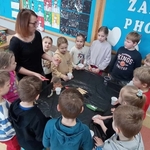 Hodowla szczypiorku i kaktusów 02.jpg