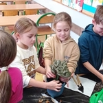 Hodowla szczypiorku i kaktusów 03.jpg