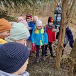 Warsztaty przyrodnicze Leśna Banda 15.jpg