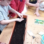 Plantacja ziół ogrodowych 04.jpg