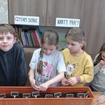 Plantacja ziół ogrodowych 03.jpg